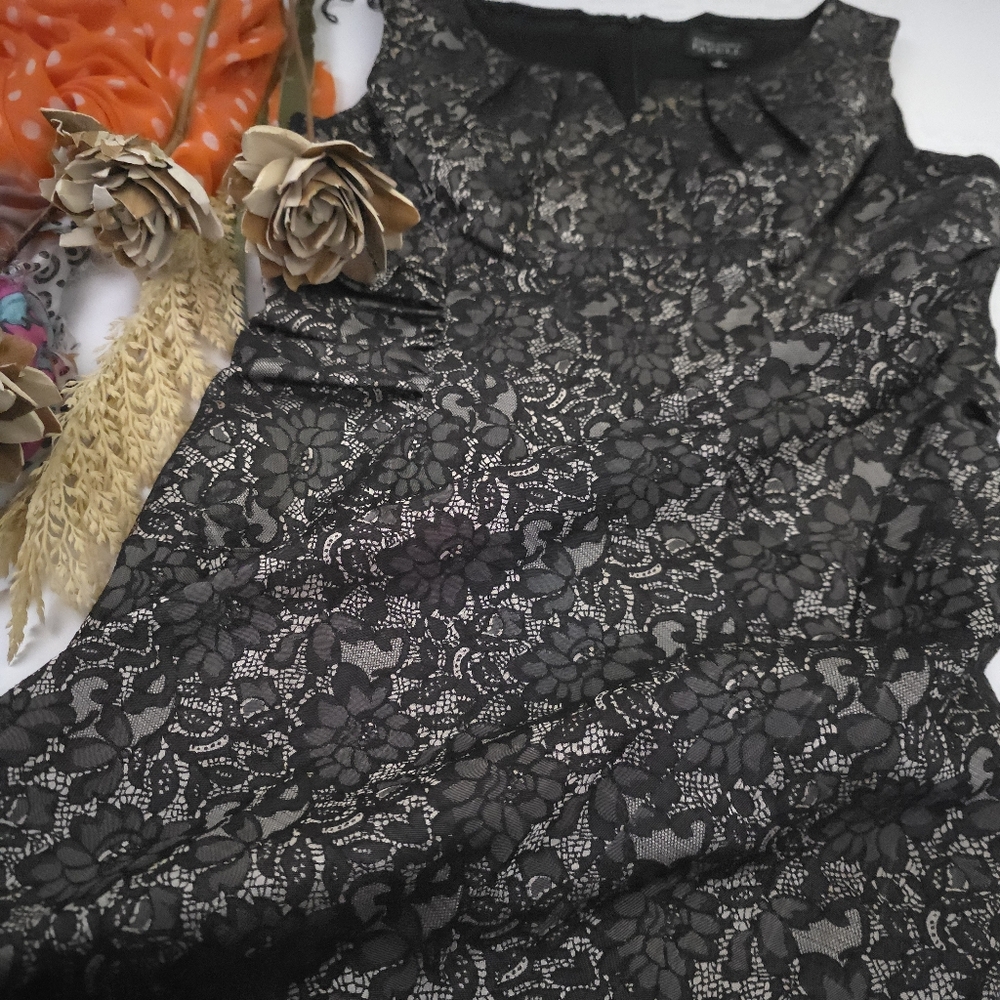 Adrianna Papell Black Bronze Lace Textures Dress Sz 12 - Picture 6 of 9